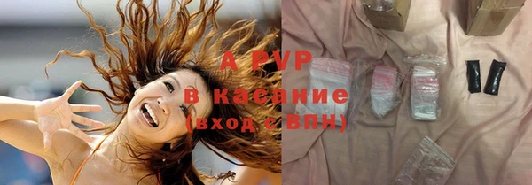 сатива Аркадак
