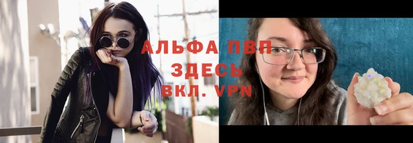 сатива Аркадак