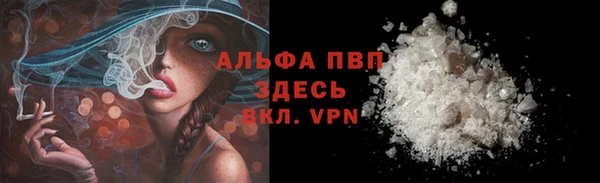 сатива Аркадак