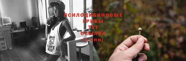 сатива Аркадак