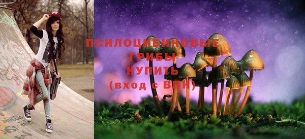 сатива Аркадак