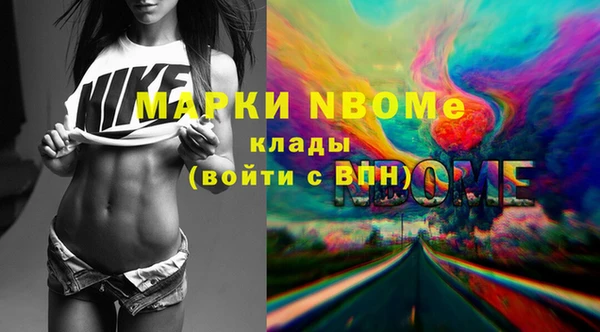 сатива Аркадак