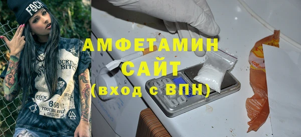 сатива Аркадак