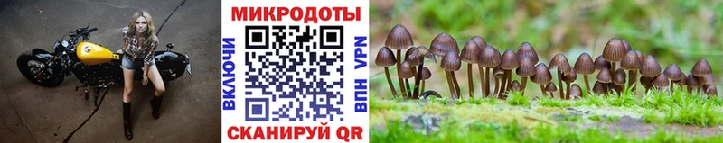 Псилоцибиновые грибы мицелий  Узловая 